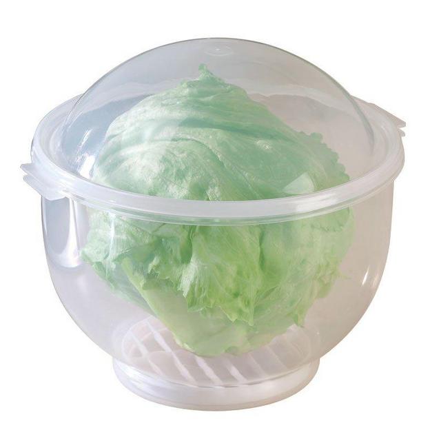 WalterDrake Lettuce KeeperTM - Lettuce Crisper Salad Keeper Container Keeps your Salads and Vegetables Crisp and Fresh- 7" X 8"