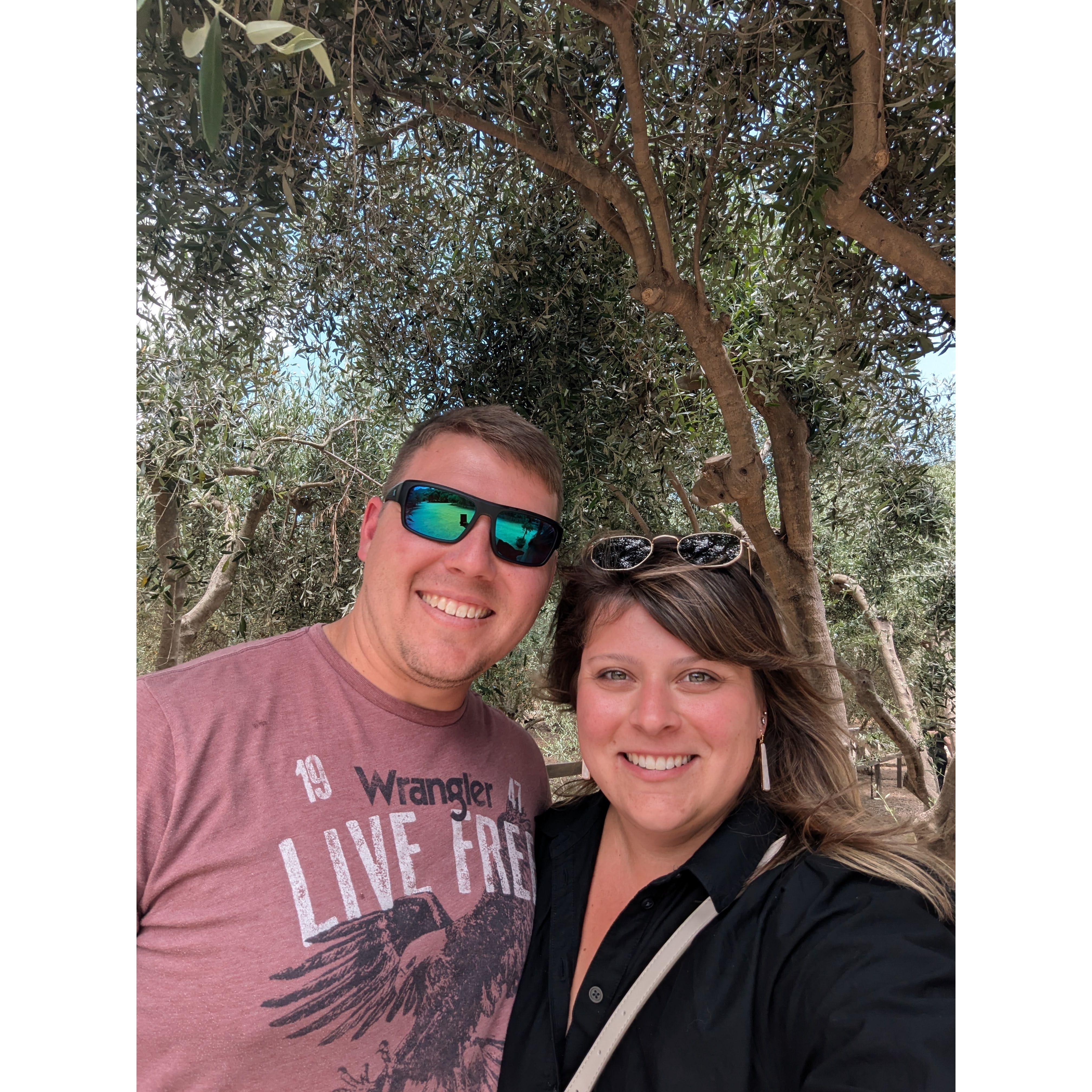 Olive you - in Cali