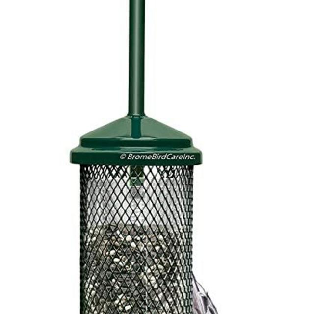 Squirrel Buster Mini Squirrel-proof Bird Feeder w/4 Metal Perches, 0.98-pound Seed Capacity