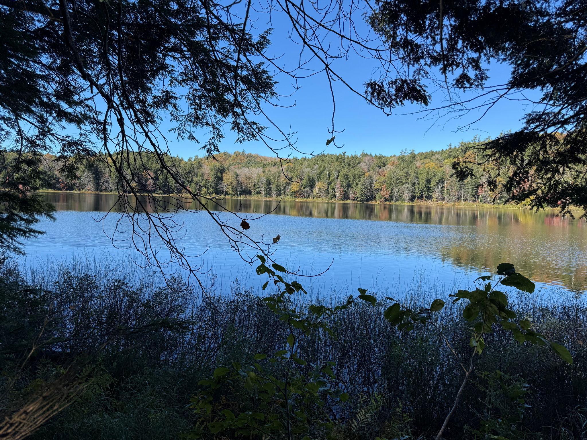 The Wedding Website of Barb Jupina and Garrick Shanley