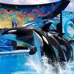SeaWorld Orlando