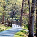 Saunders-Monticello Trail