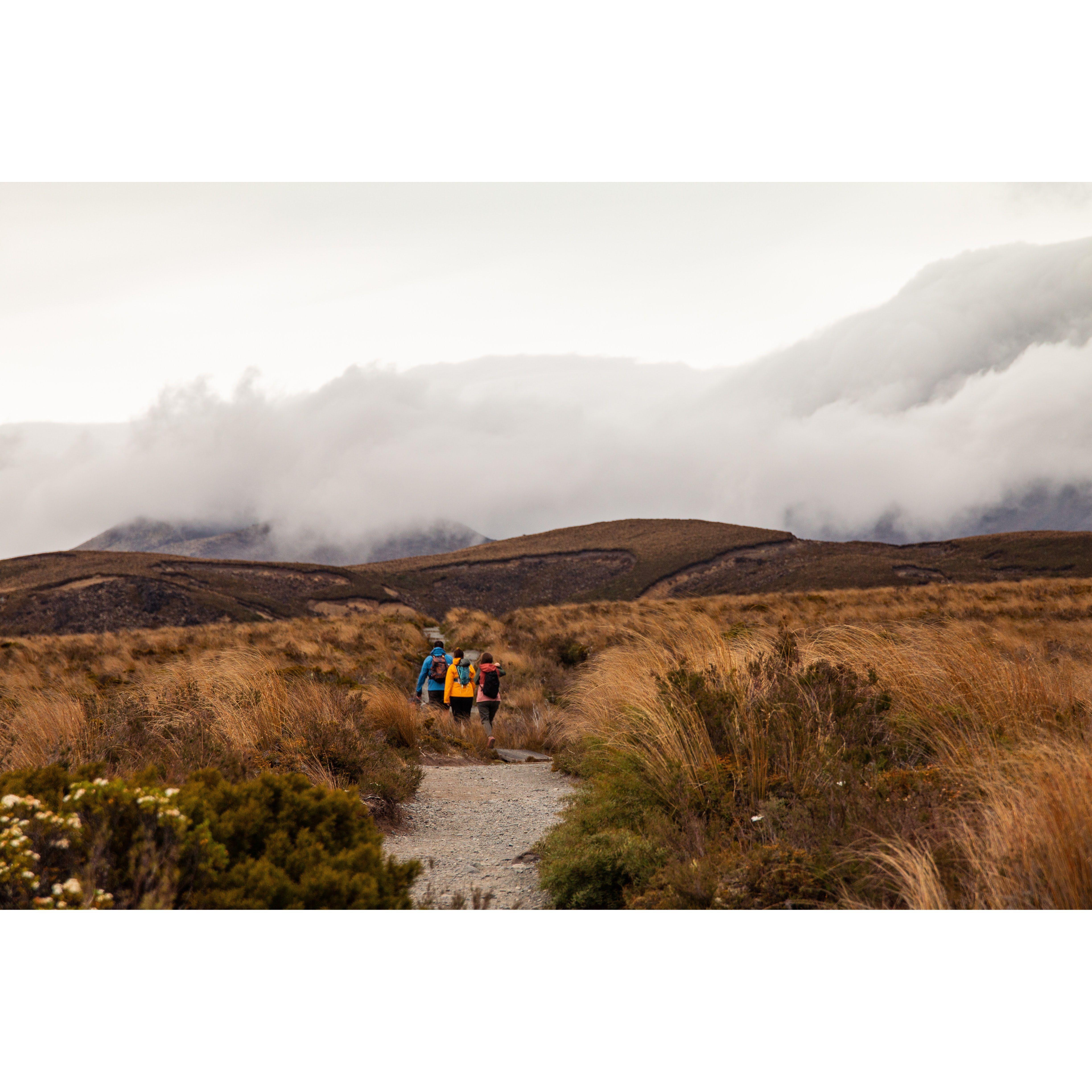 Tongariro National Park