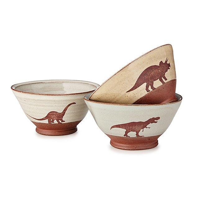 Dinosaur Bowls
