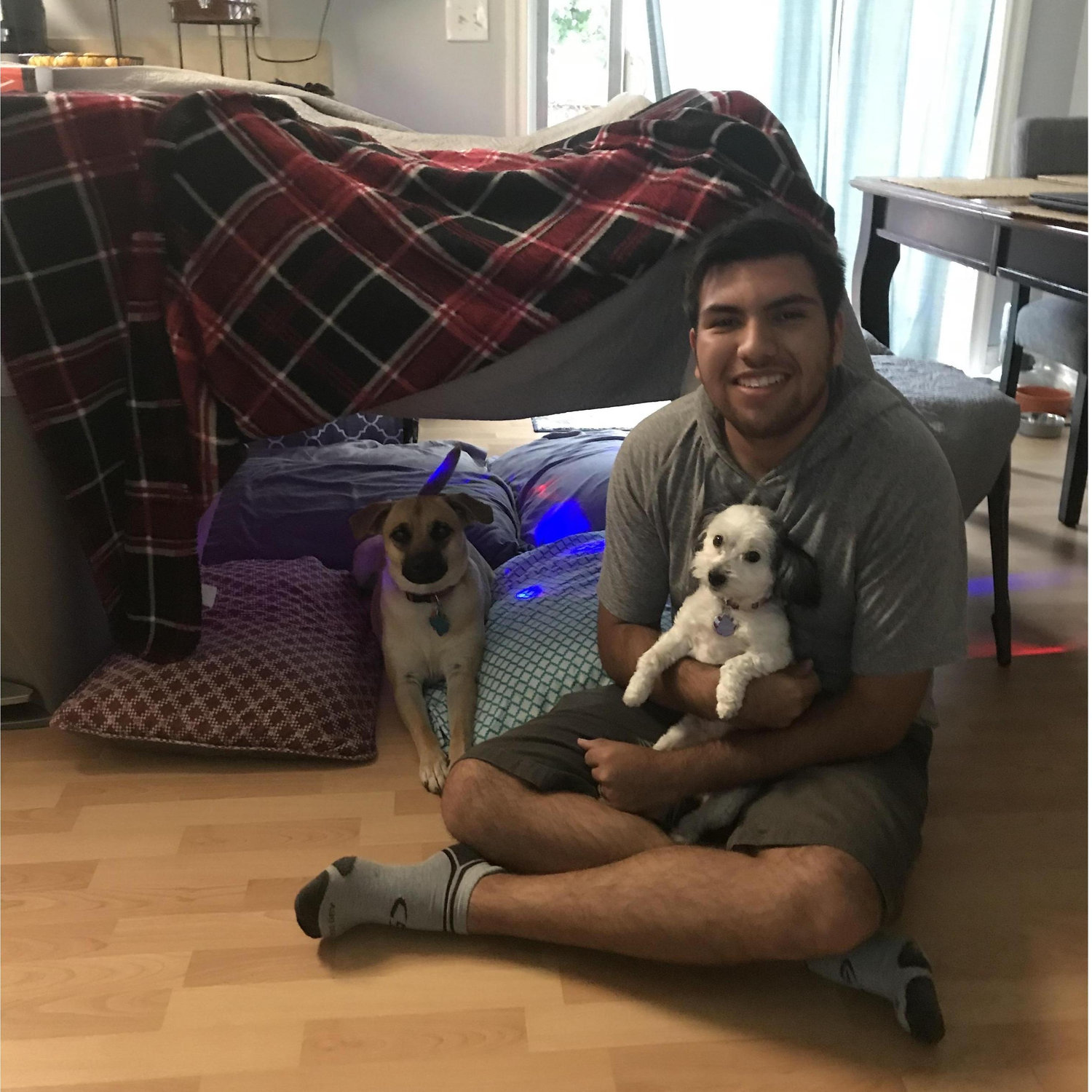 Noah being a sweet dog dad next to a pillow fort.