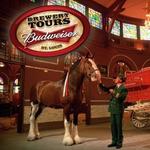 Anheuser-Busch St. Louis Brewery