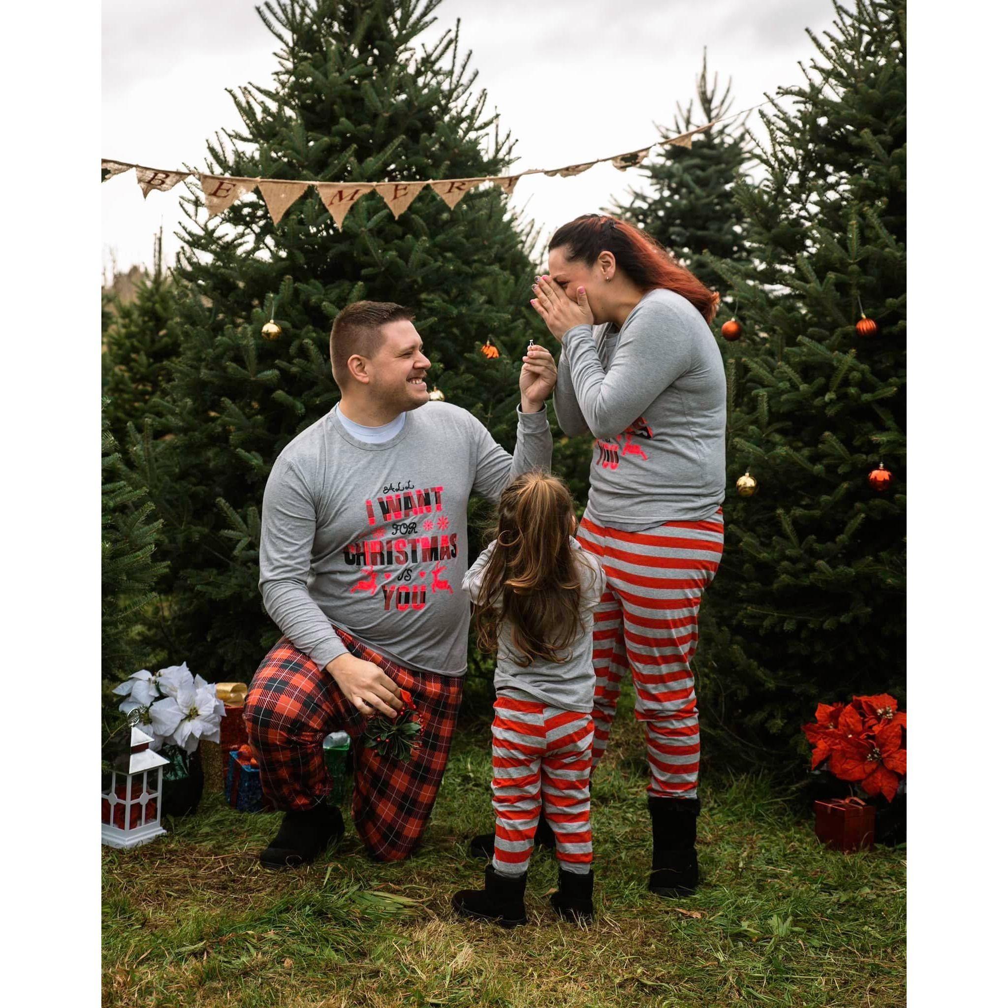 The proposal 