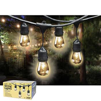 Feit Outdoor Weatherproof String Light Set, Black, 48 ft,  24 Light Sockets, Includes 36 Bulbs