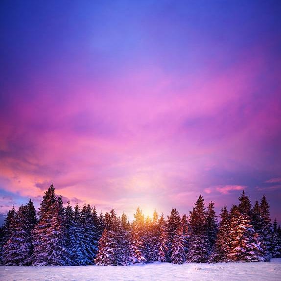 Winter Wonderland