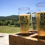Bold Rock Nellysford Cidery