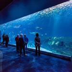 North Carolina Aquarium on Roanoke Island