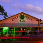 The Green Parrot
