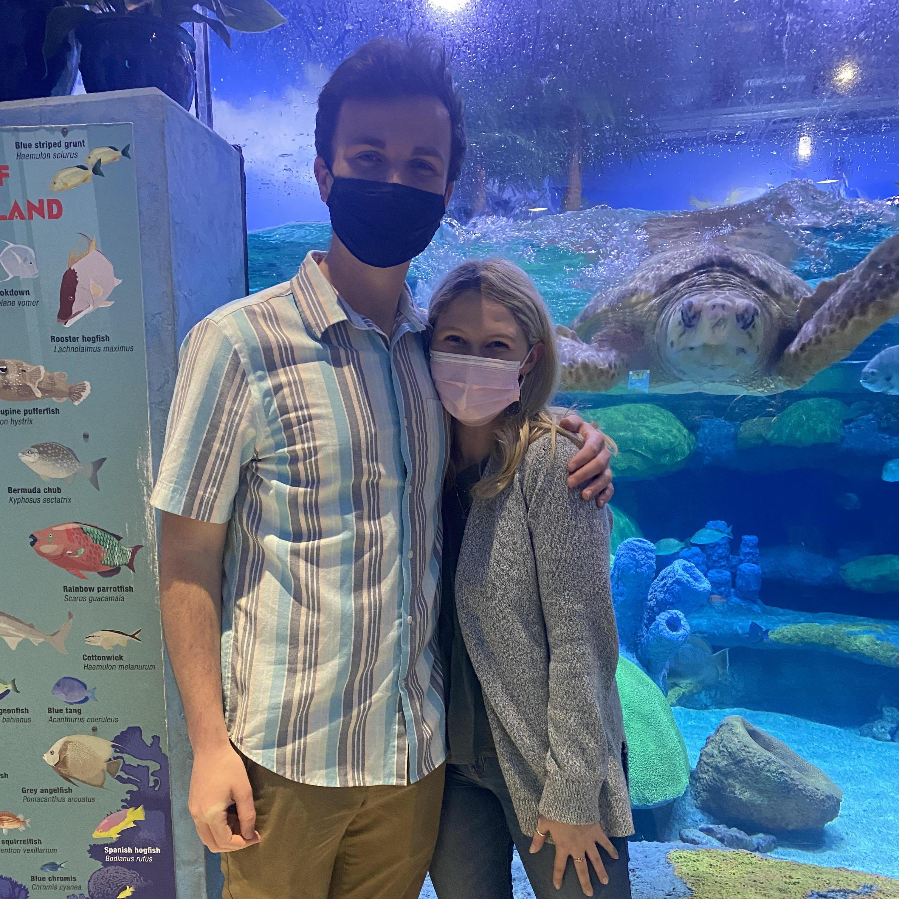 met our bud seamore at the tulsa aquarium!