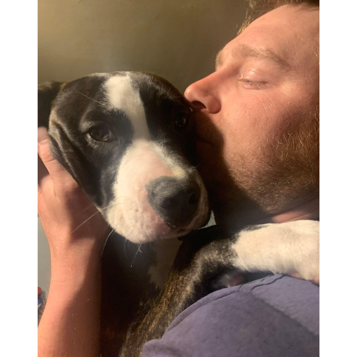 One thing for certain, Willa is a papa's girl. I'm just the spare human haha