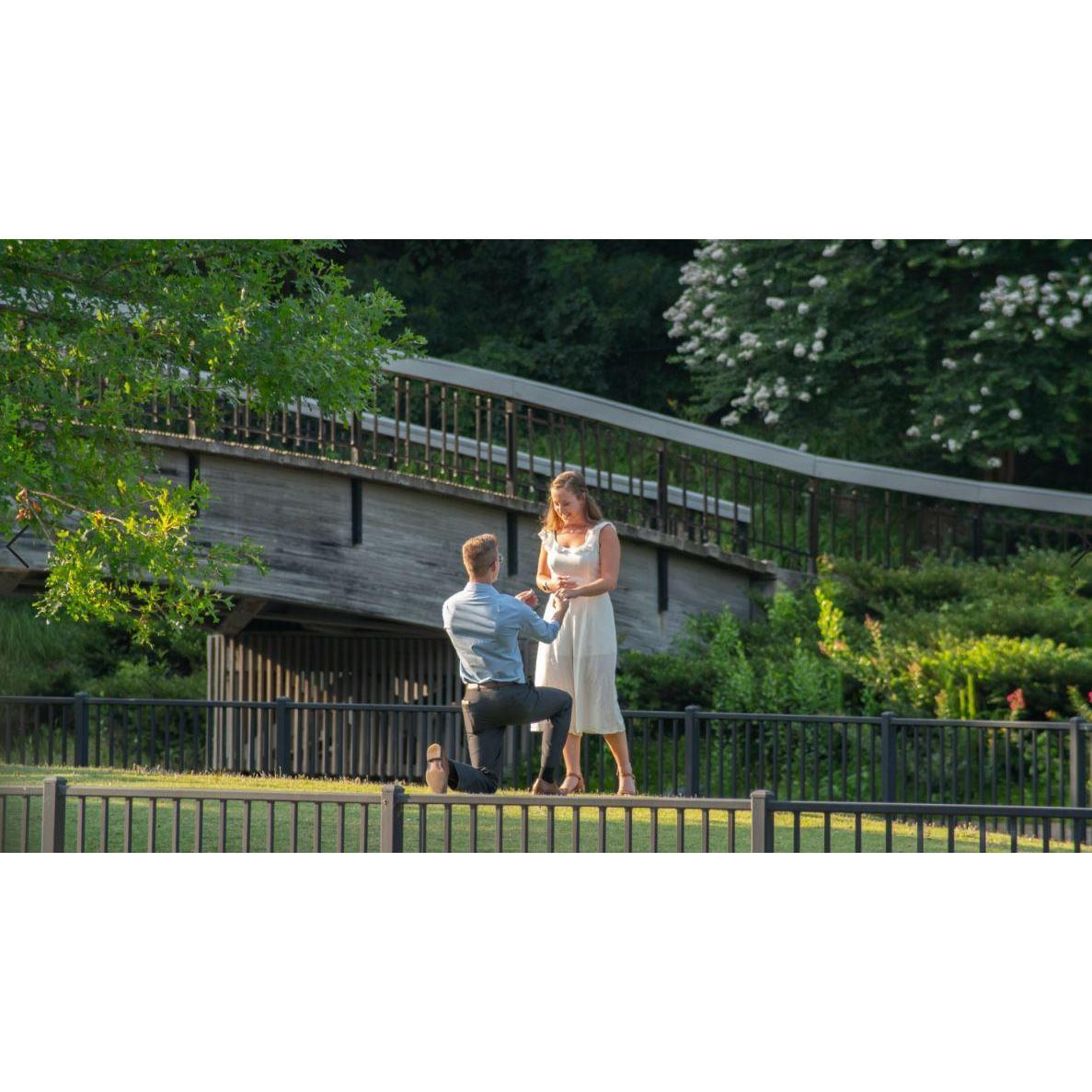 The proposal - July 16th, 2020