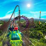Busch Gardens Tampa Bay
