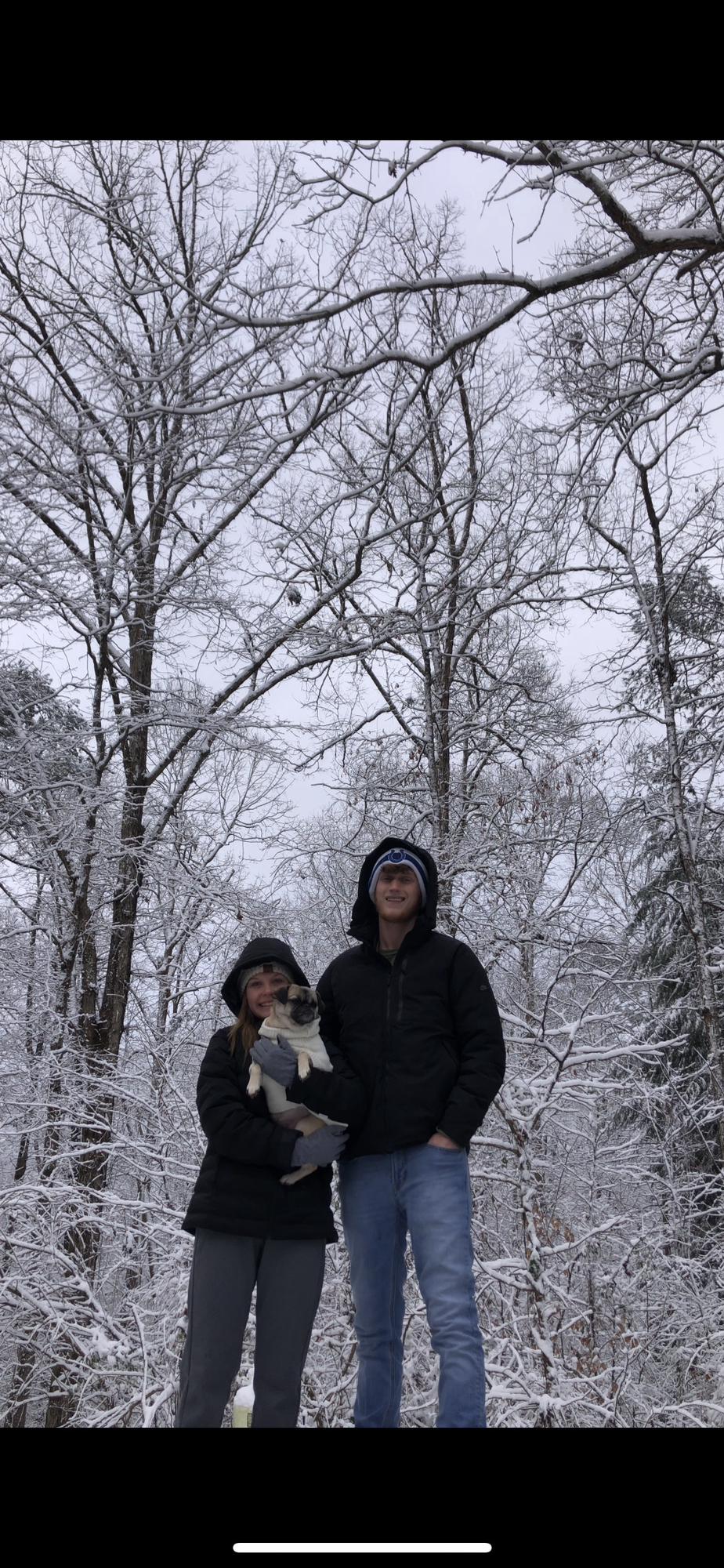 snow day ❄️