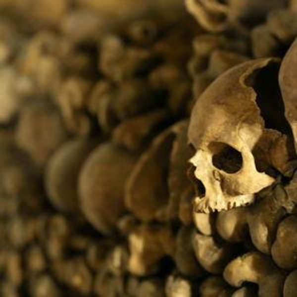 The Paris Catacombs