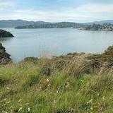 Angel island State Park