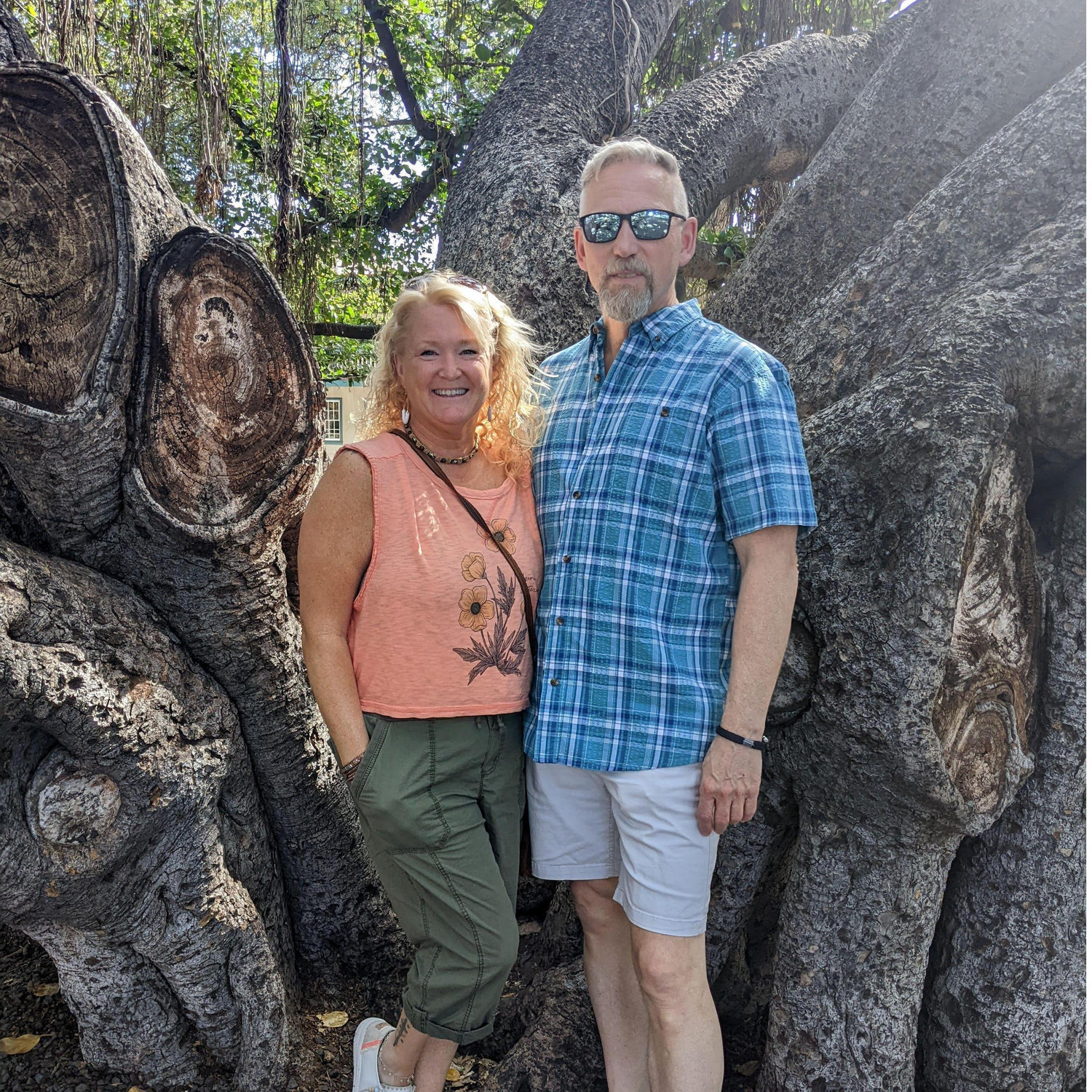 Hawaii under the Banyon Tree