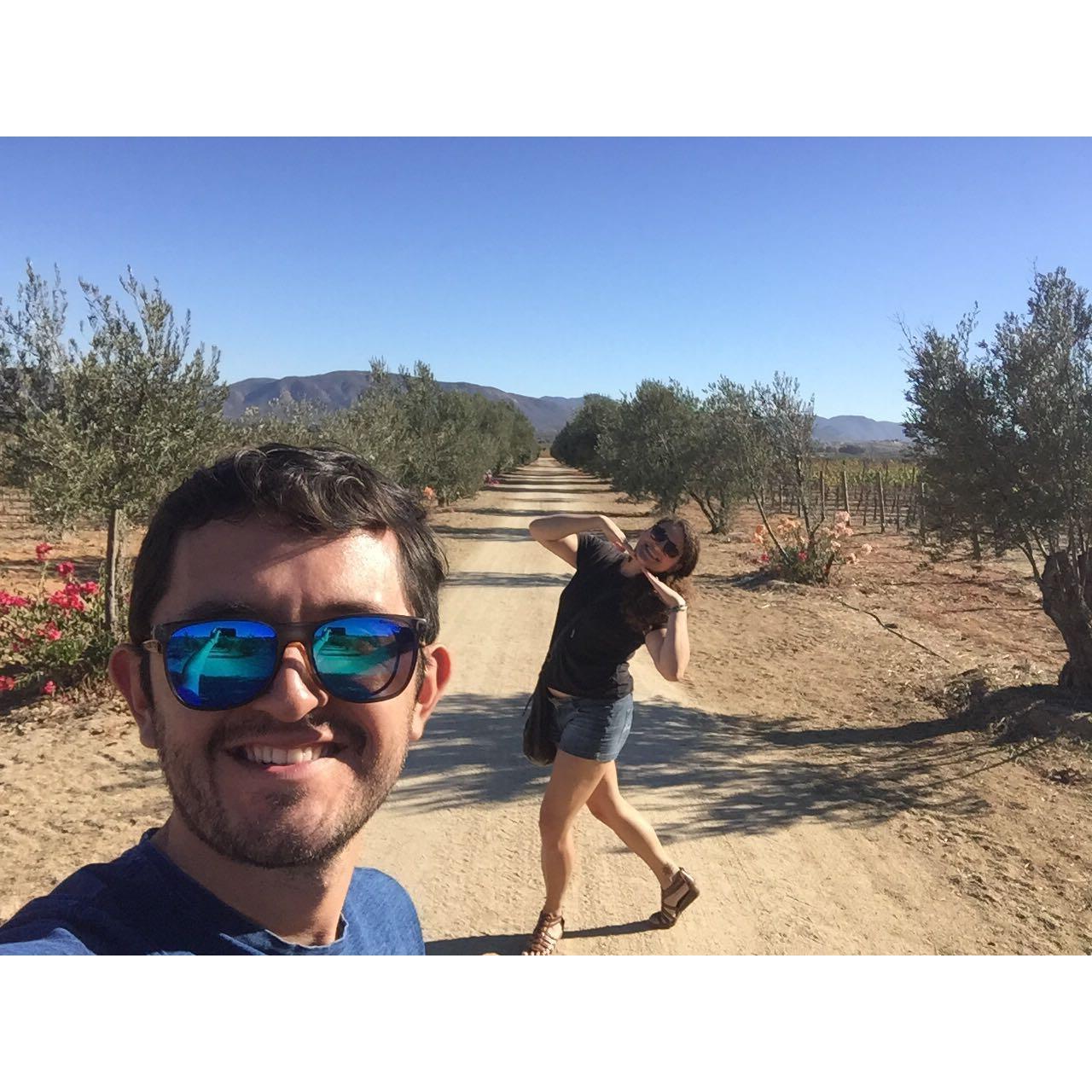 Enjoying Valle de Guadalupe wine country (2017)
