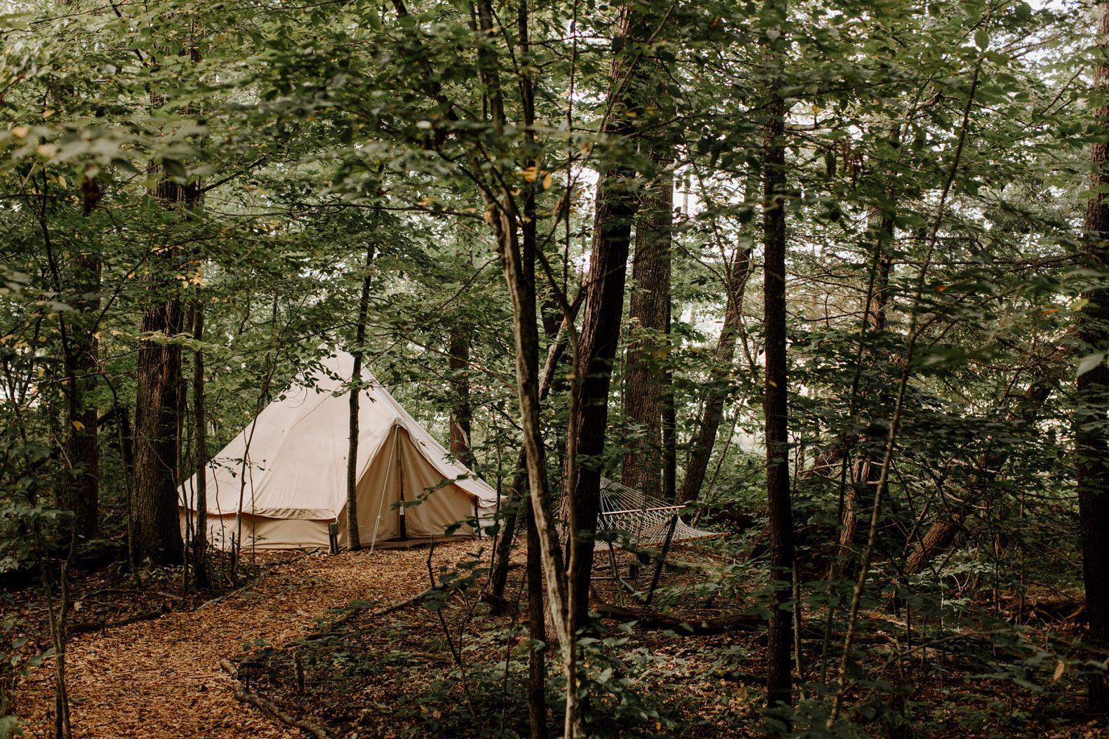 The Wedding Website of Peter Shanahan and Nadia Berenguer