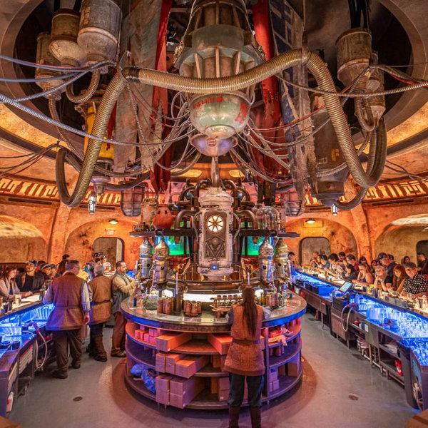 Drinks at Oga’s Cantina