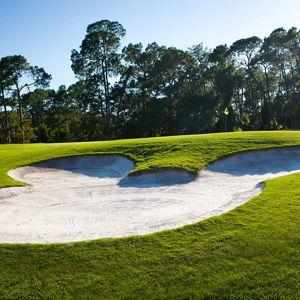 Golf Rentals & Green Fees