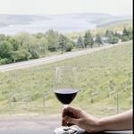 Living Roots Finger Lakes