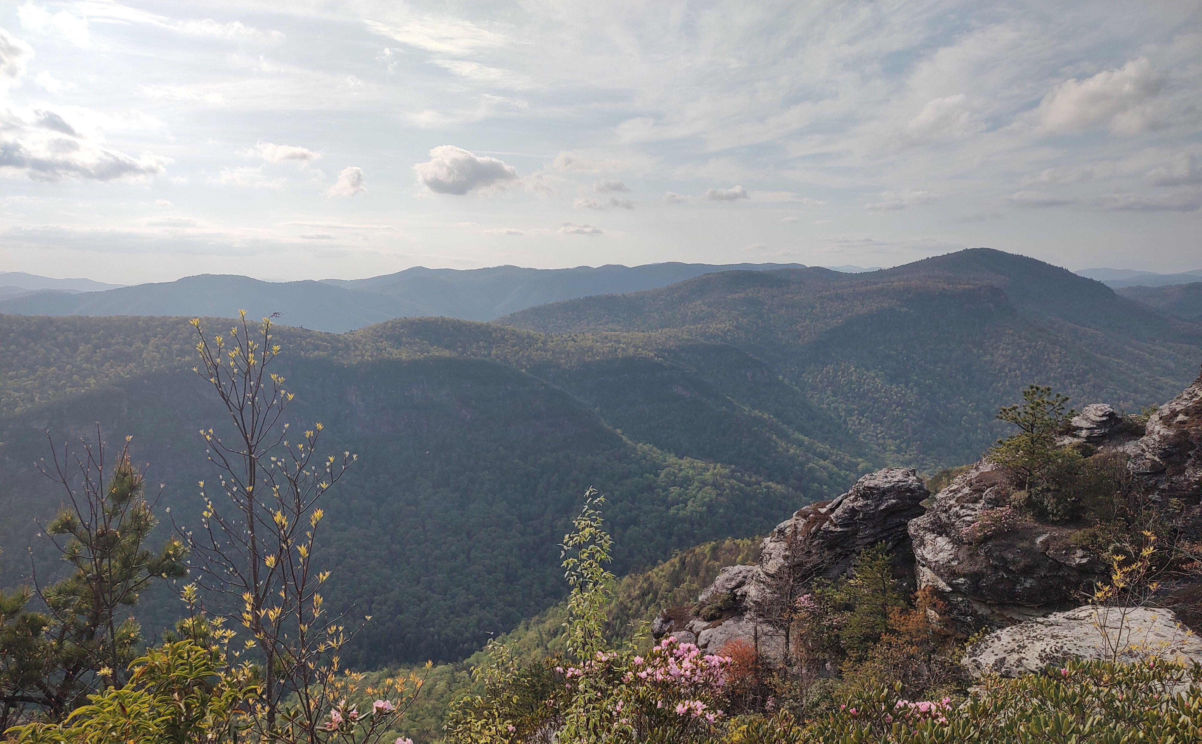 The Wedding Website of Abigail Riddick and Elizabeth Atwell