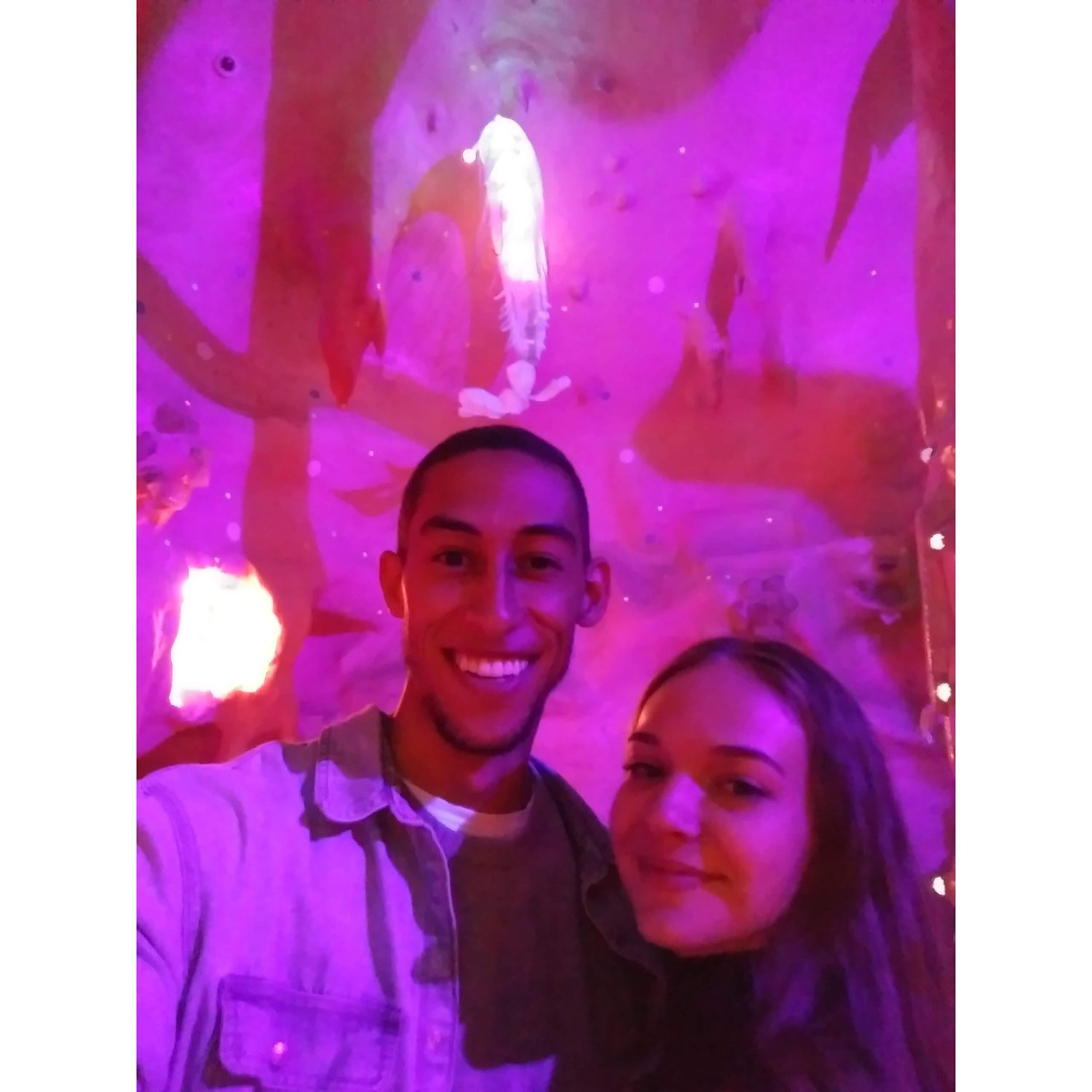 Meow Wolf in Abq