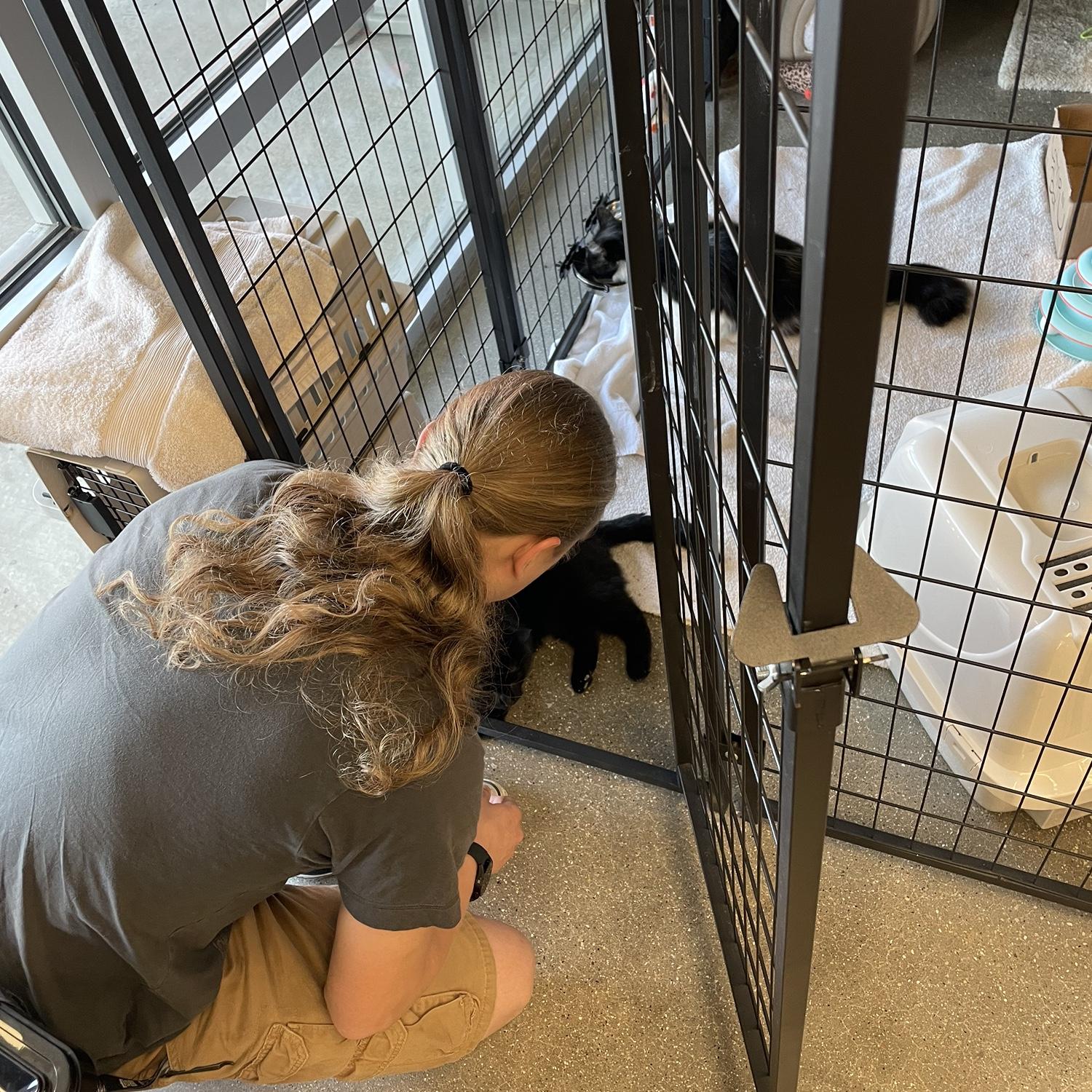 1st time we met our kitties Charlie and Lola