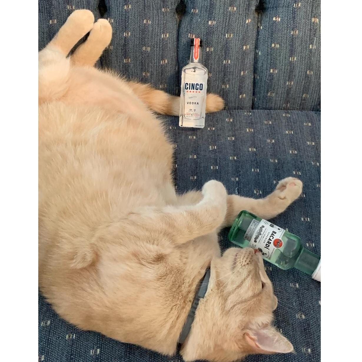 You've really partied when you look like this by the end of the night!