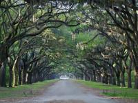 Wormsloe Historic Site