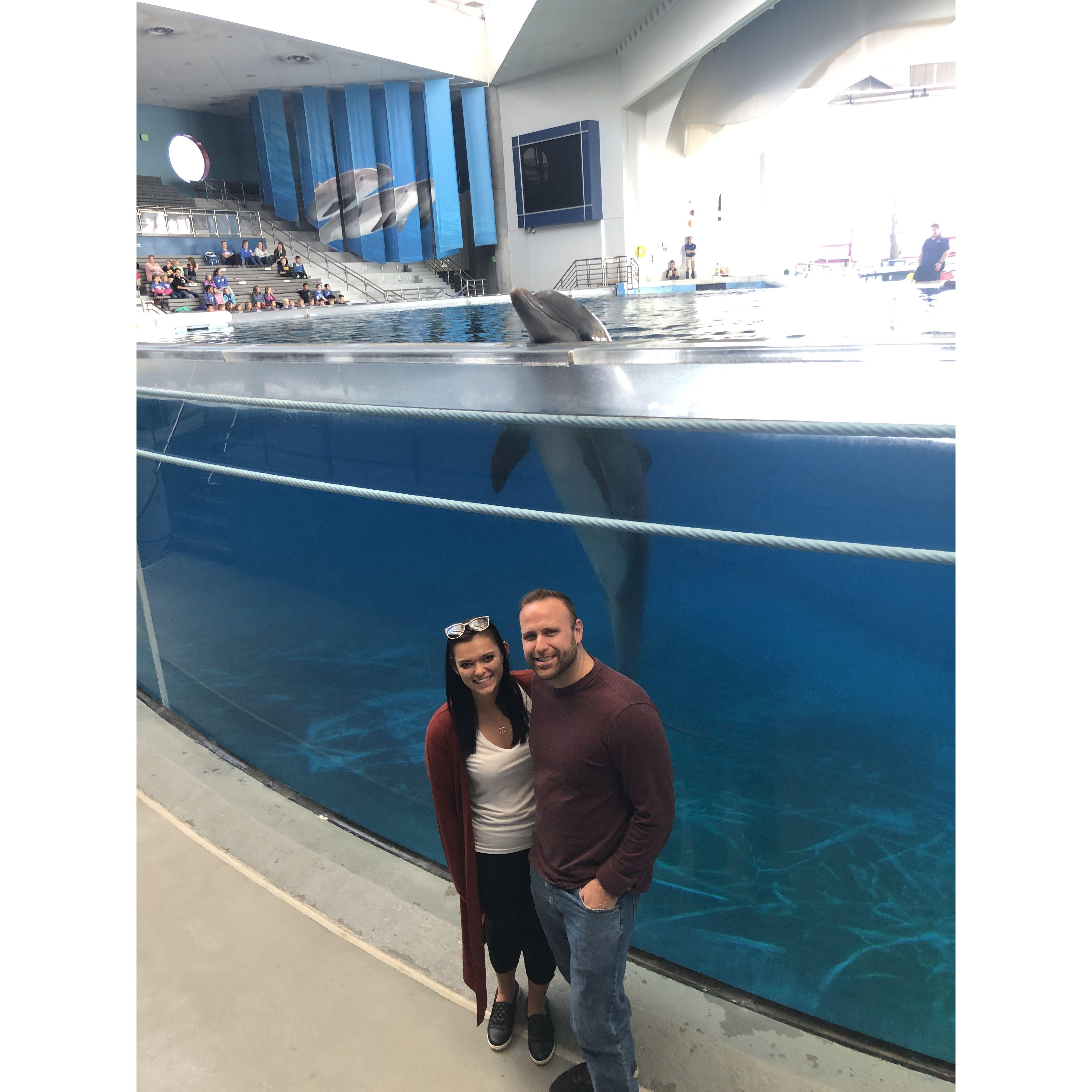 Lou took Sophia to see the dolphins the morning before she found out she passed the bar exam!