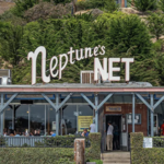 Neptune's Net