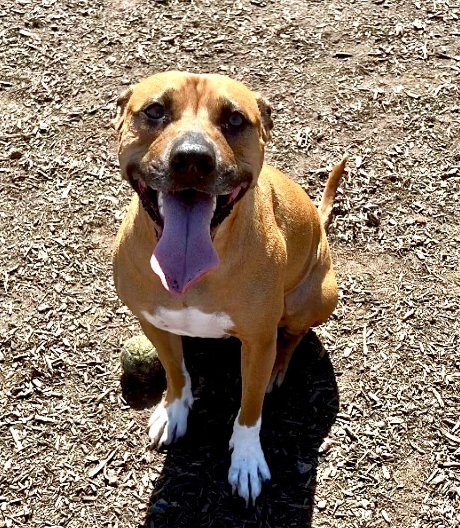 40bb1387-e6a3-4c8f-8f30-828f016b2b61