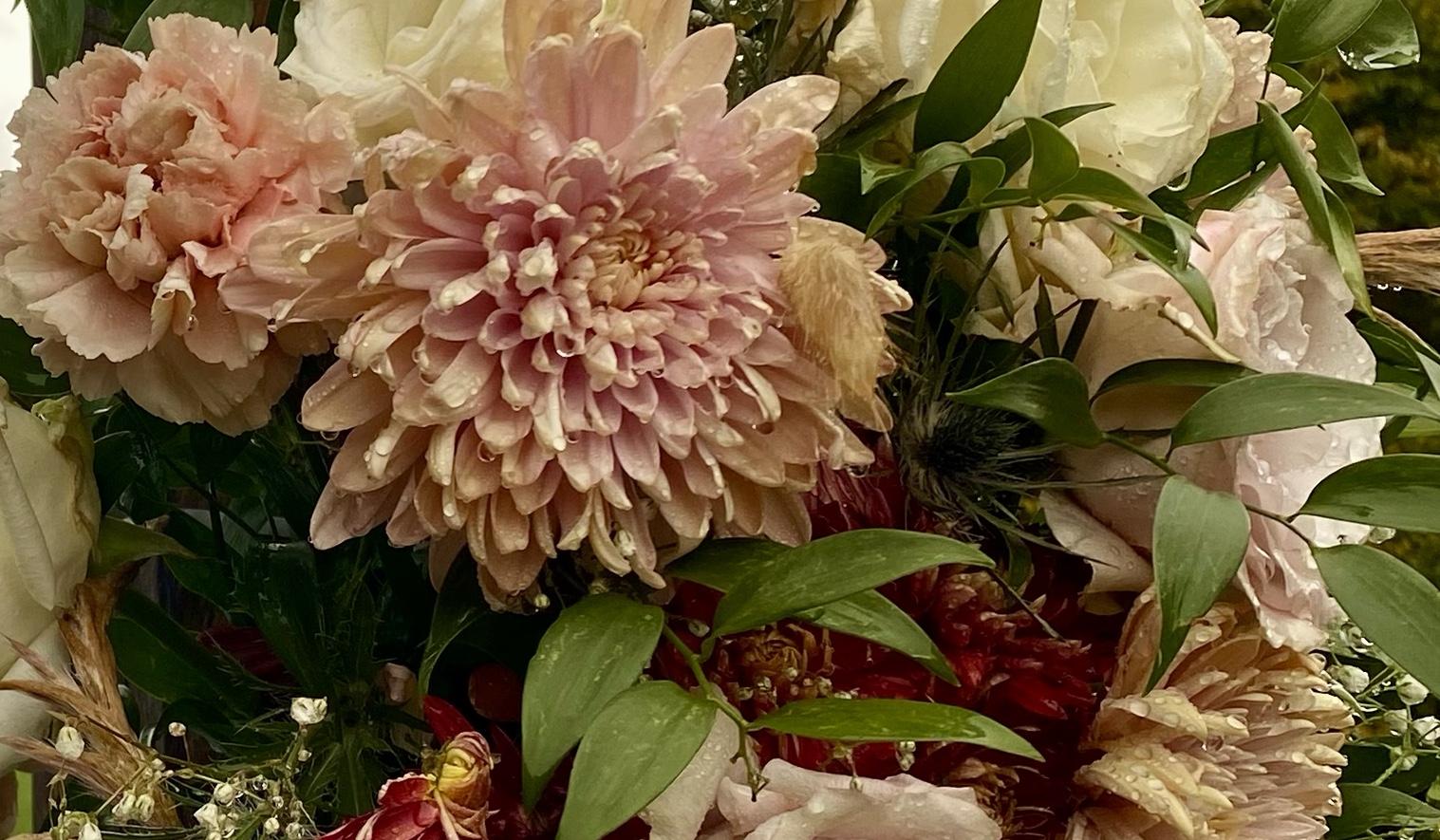 The Wedding Website of Laura Vlacovsky and Nicholas Golina