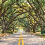 South Boundary Avenue Southeast