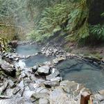 Terwilliger Hot Springs