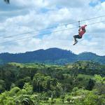 Zip Line