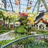 Bellagio Conservatory & Botanical Gardens