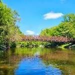 Red Cedar River