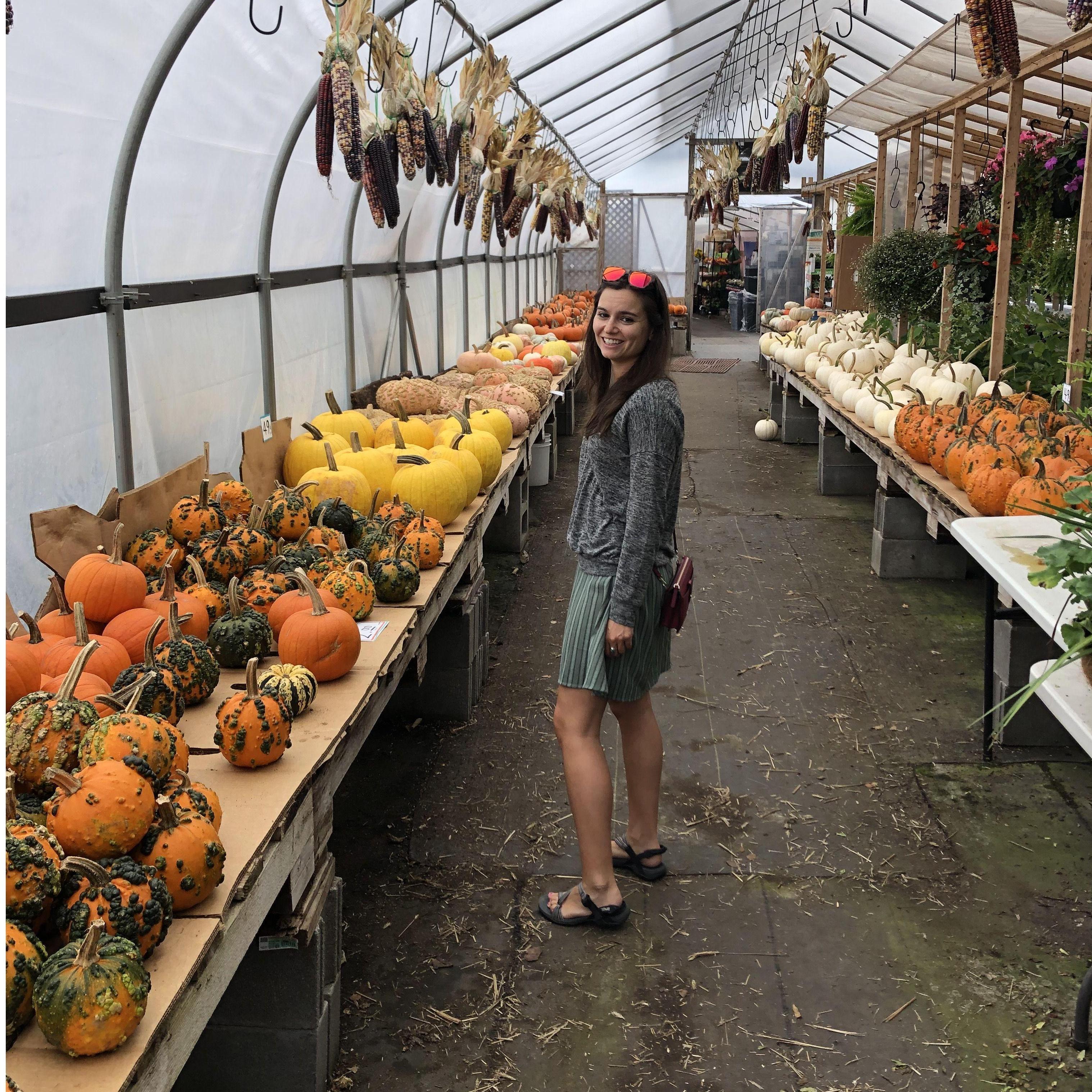 She really likes the warty, crooked, oddball pumpkins. She wanted them all......