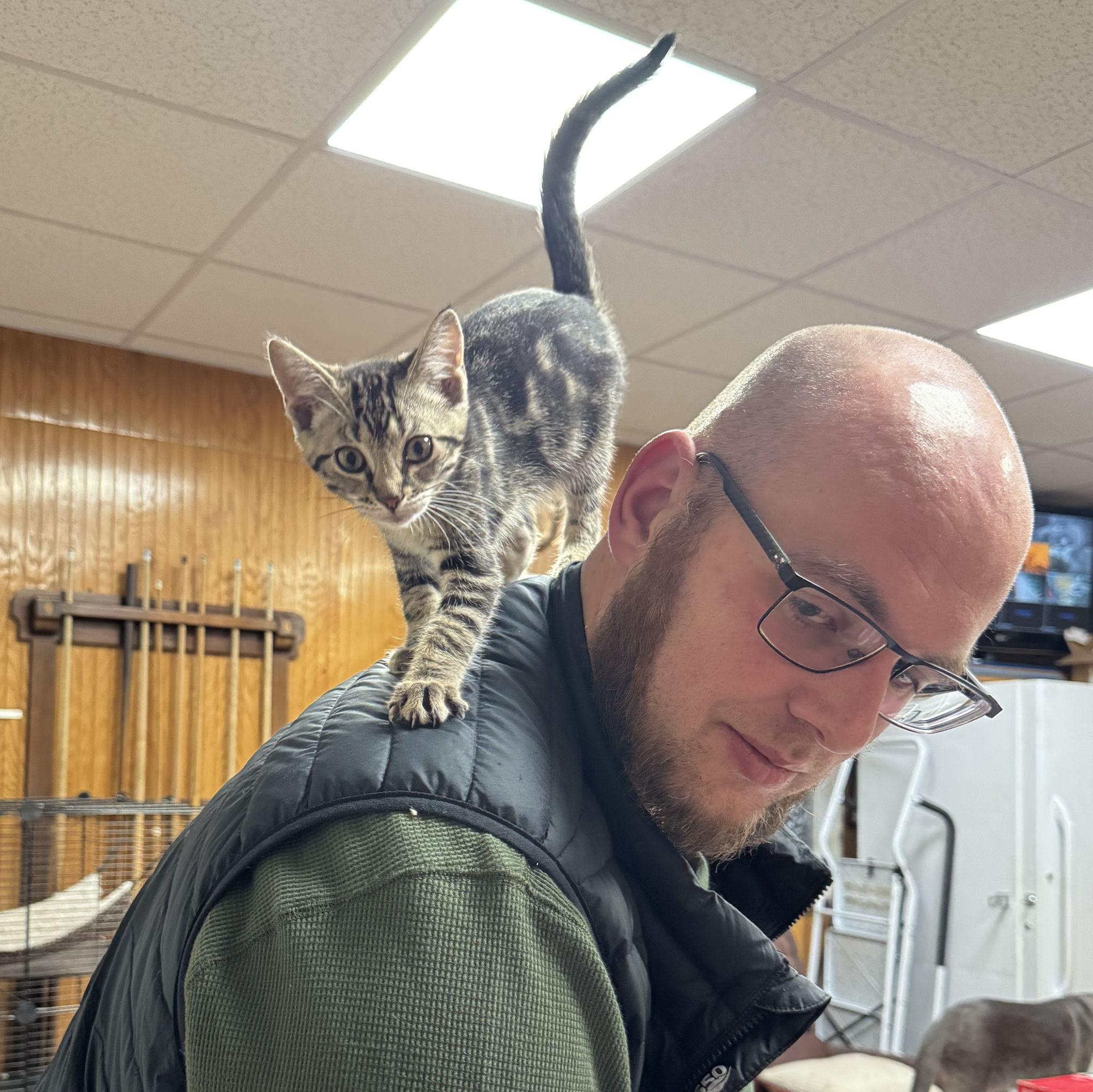 Leonora was the perfect addition to our little family. She chose us by climbing onto Phifer’s back. She is the missing piece that our family didn’t know we needed.