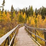 Explore walking trails, boutique shops and great eats throughout the area