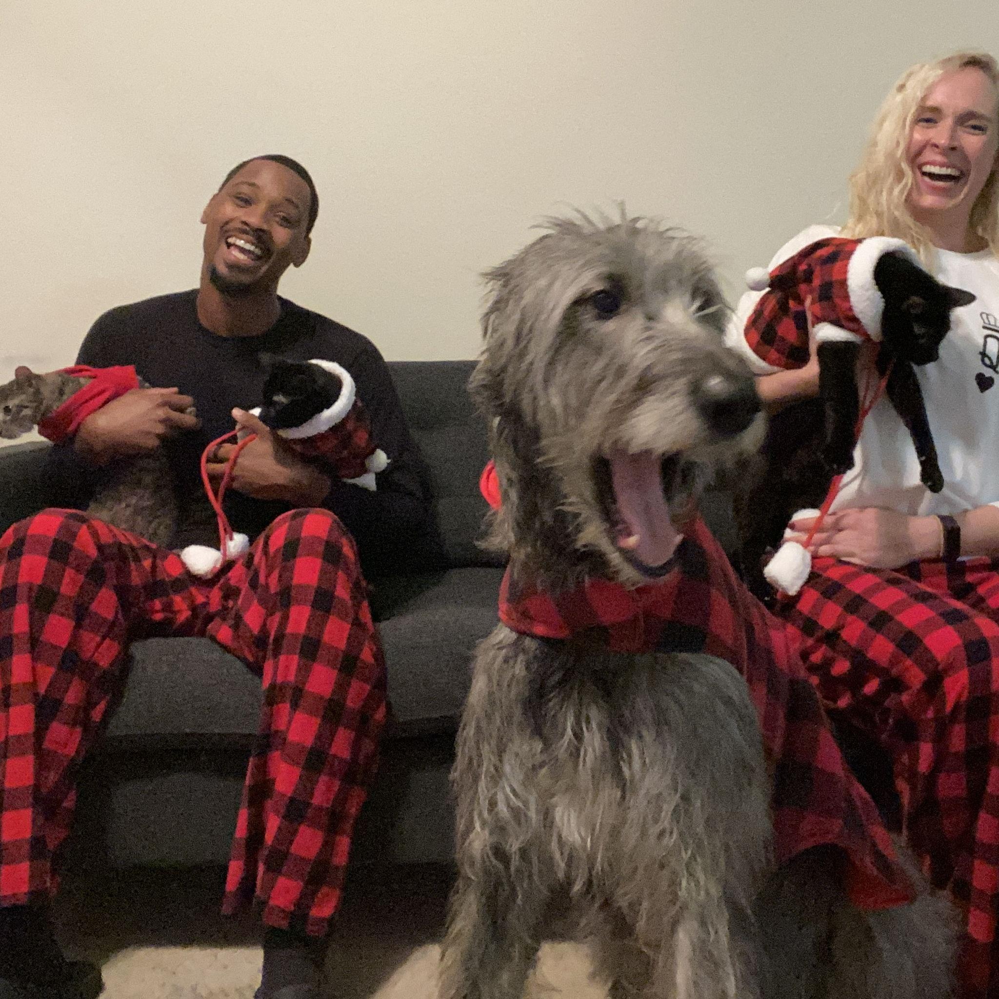 Our zoo of a household holiday photo in Alexandria, VA - December 2021