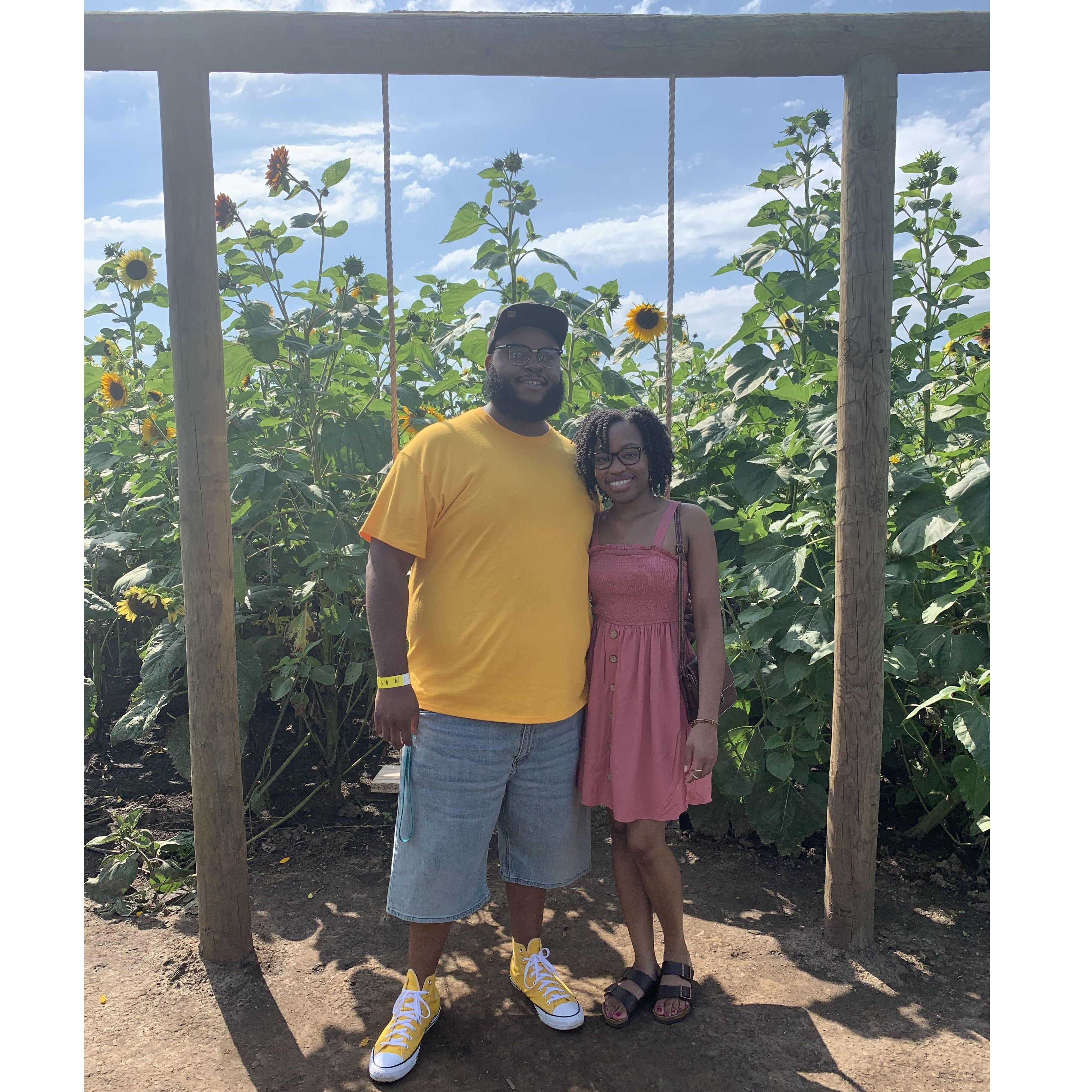 Our first time at a sunflower field