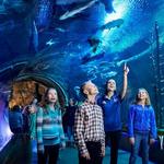 Wonders Of Wildlife National Museum & Aquarium
