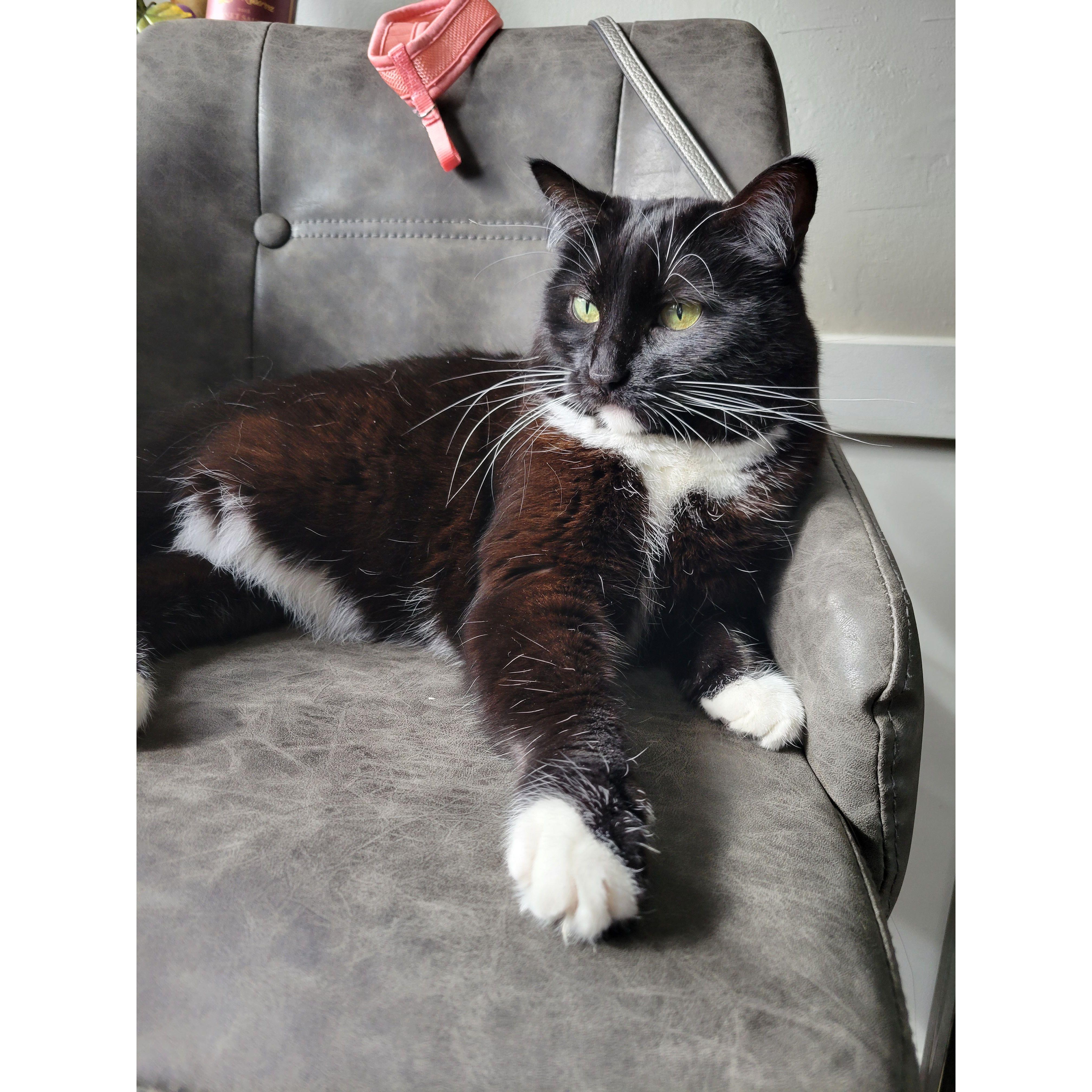 Family Member #3 - Tuxey